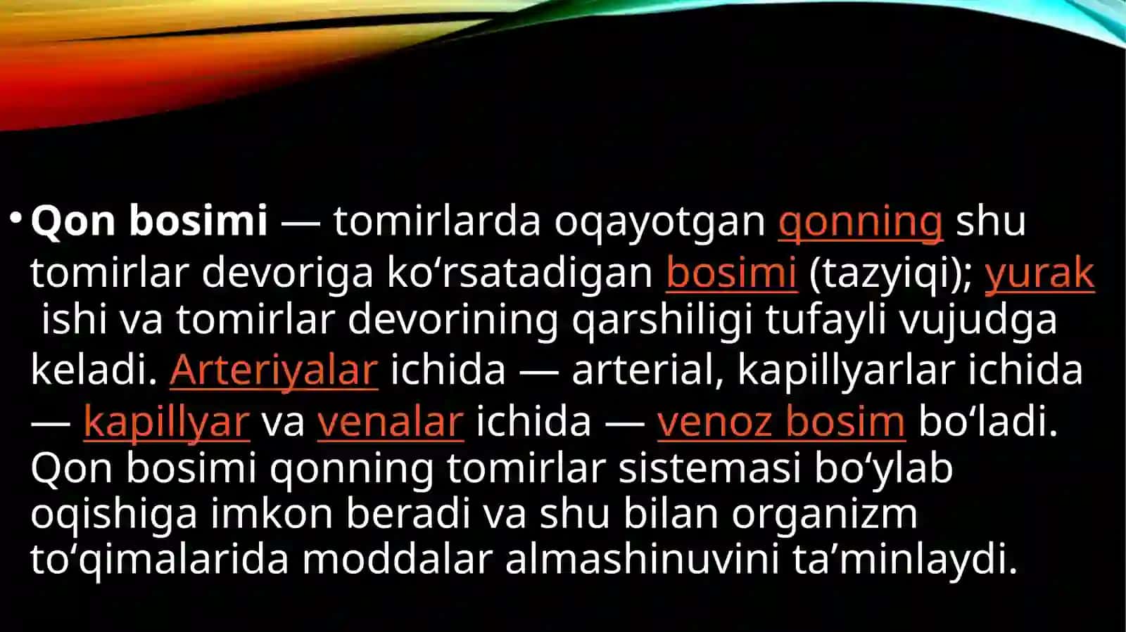 Yurak qon tomirlari 2
