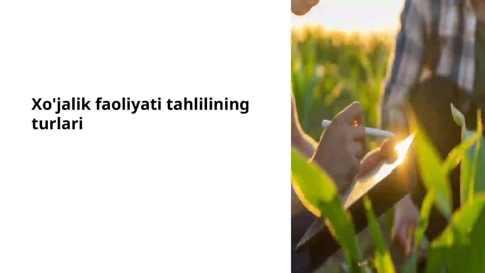 Xo‘jalik faoliyati tahlili fanidan REJA 2