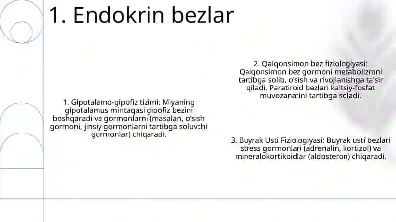 Ichki Sekretsiya Bezlari Fiziologiyasi 2
