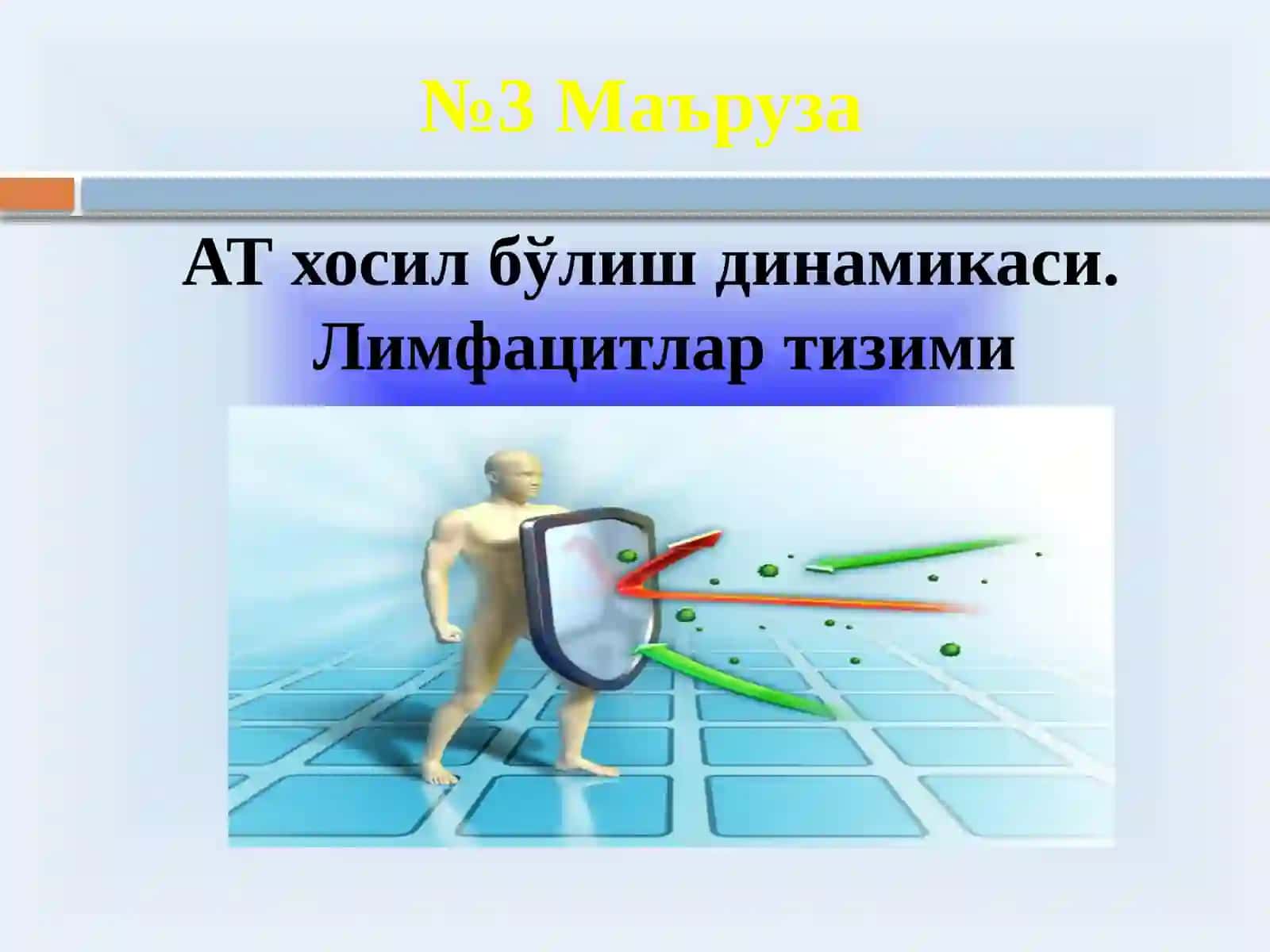 АТ хосил бўлиш динамикаси. Лимфацитлар тизими 2