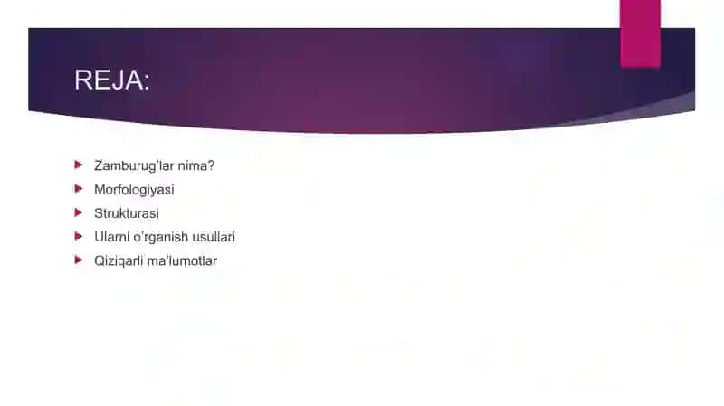 Zamburug'lar. Ularning morfologiyasi. Strukturasi va ularni o'rganish usullari. 2