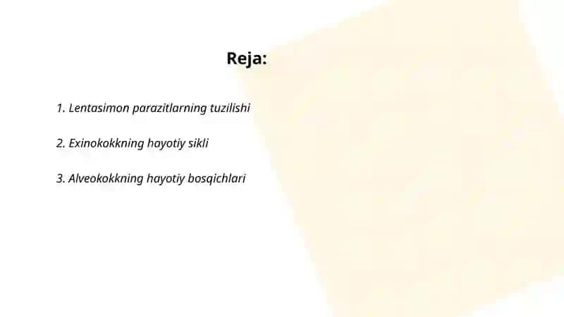 Odamlarda parazitlik qiluvchi lentasimonlar(exinokokk alveokokk) 2