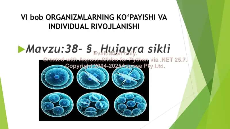 Biologiya fanidan referat: Hujayra sikli 2