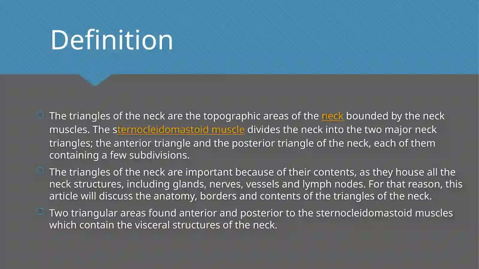 Triangles of neck anatomy 2