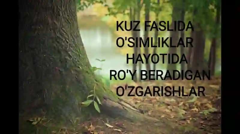 Kuz faslida o‘simliklar hayotida ro‘y beradigan o‘zgarishlar 2