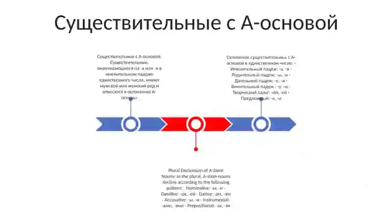 Склонение Имен Существительных В Единственном И Множественном Числе 2