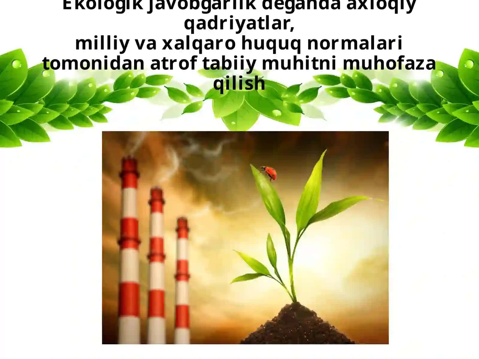 Ekologik huquq buzarganlik uchun javobgarlik 2