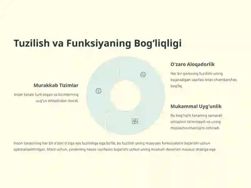 Odam tana qismlari tuzilishi va funksiyalari.Analizatorlar tuzilishi va vazifalari 2