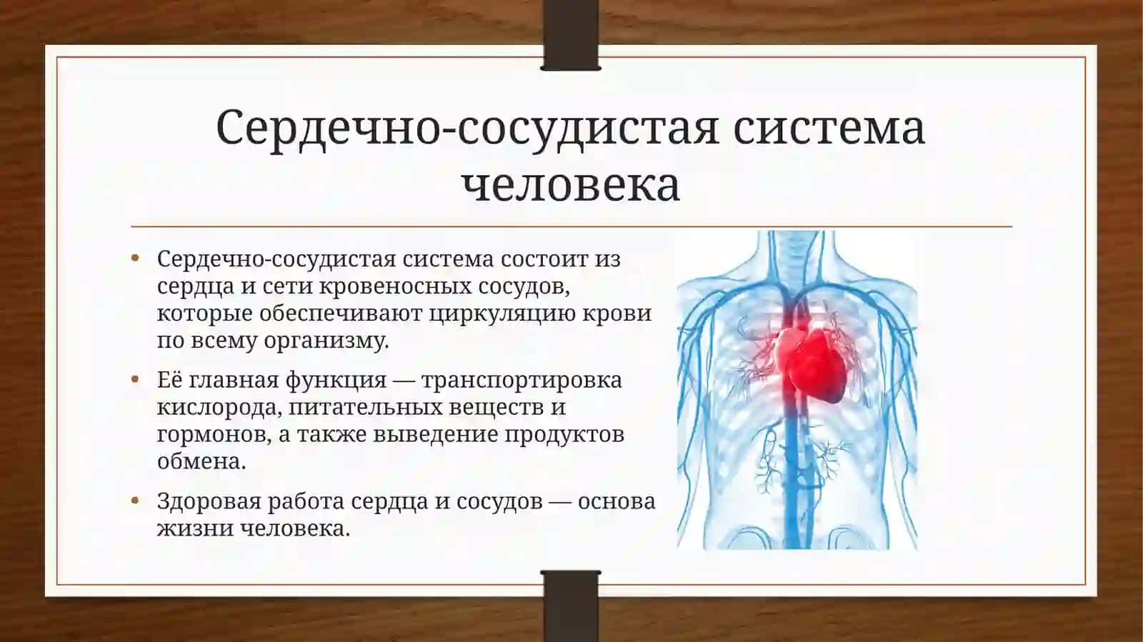 Заболевания сердечно-сосудистой системы 2