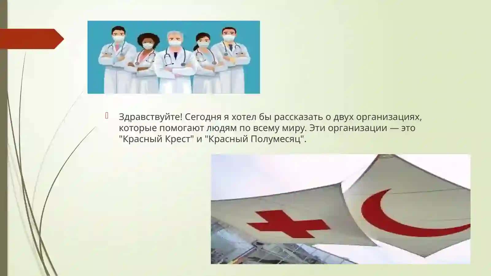 Общество Красного Креста и Полумесяца 2