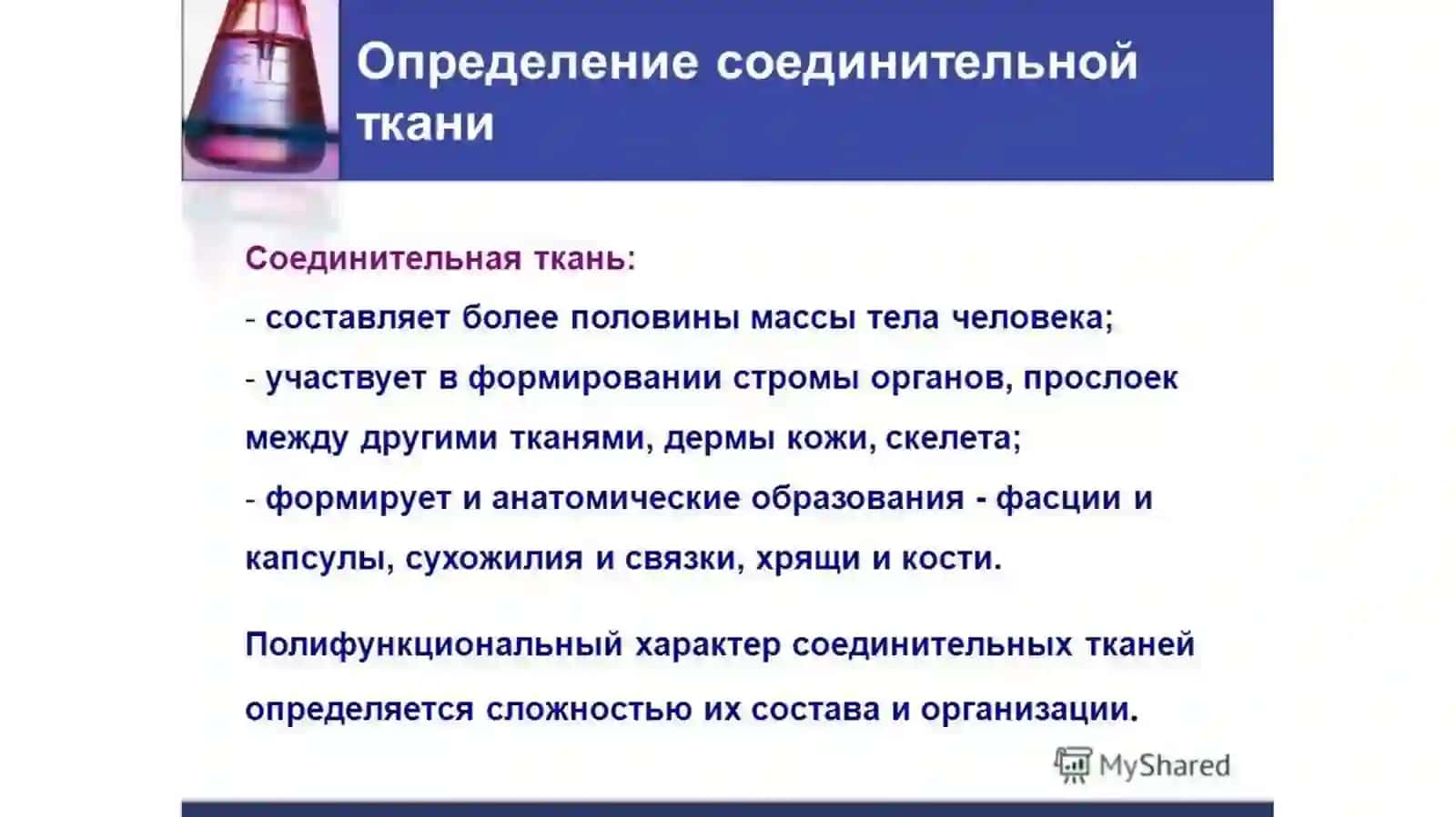 Бириктирувчитўқима 2