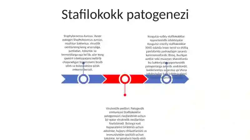 Stafilokoklar 2