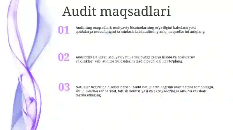 Auditorlik Dalillari 2