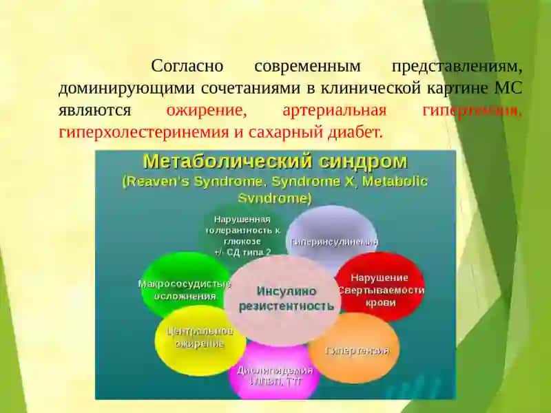 Влияние питания на возникновение Метаболического синдрома 2