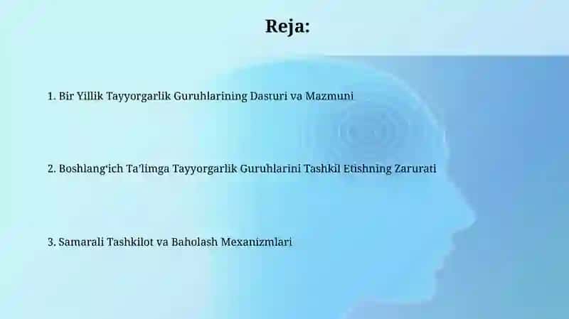 Boshlangʻich taʻlimga tayyorlash guruhlari 2