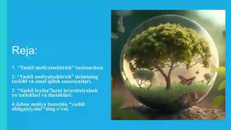 “Yashil iqtisodiyot”ga o’tish jarayonini moliyalashtirish. 2