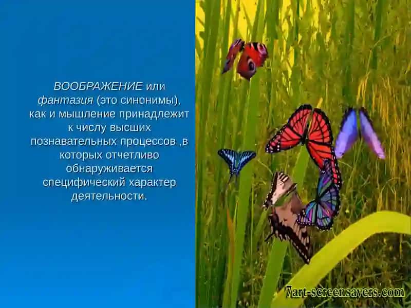 ВООБРАЖЕНИЯ И ФАНТАЗИЯ 2