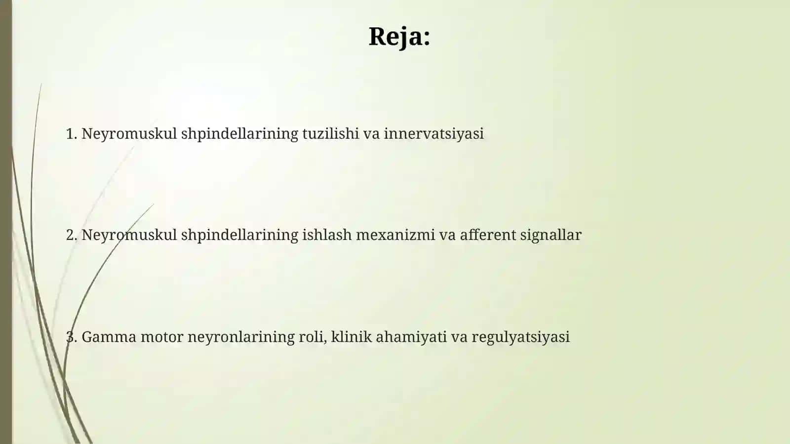Nerv-mushak urchuqlarining tuzilishi va ishlash prinsipi 2