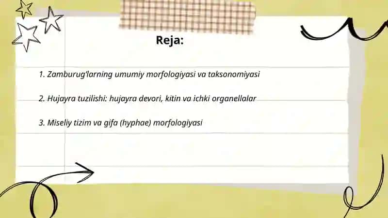 Fundamental tibbiyot talabasi 2