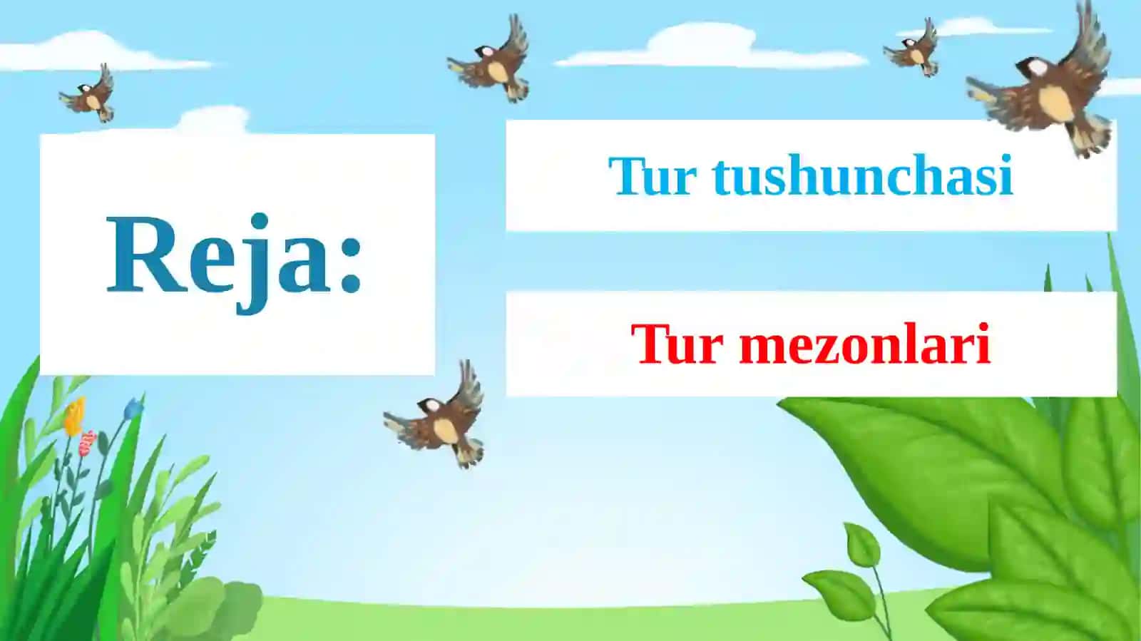 Hayotning tur va populyatsiya darajasi. Tur tushunchasi va tur mezonlari 2