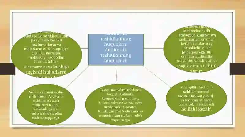 Auditorlik tashkilotining huquqlari va majburiyatlari 2