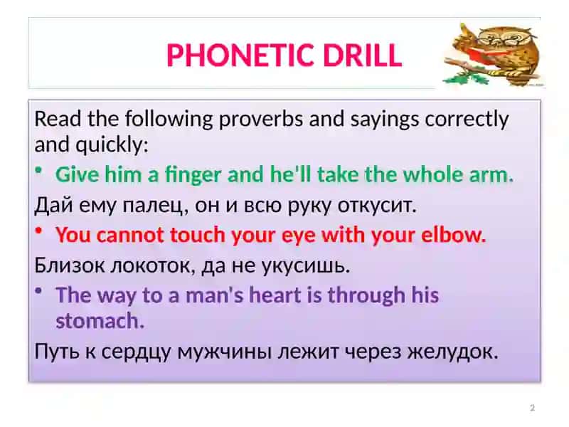 The systems of the human body.Системы организма человека 2