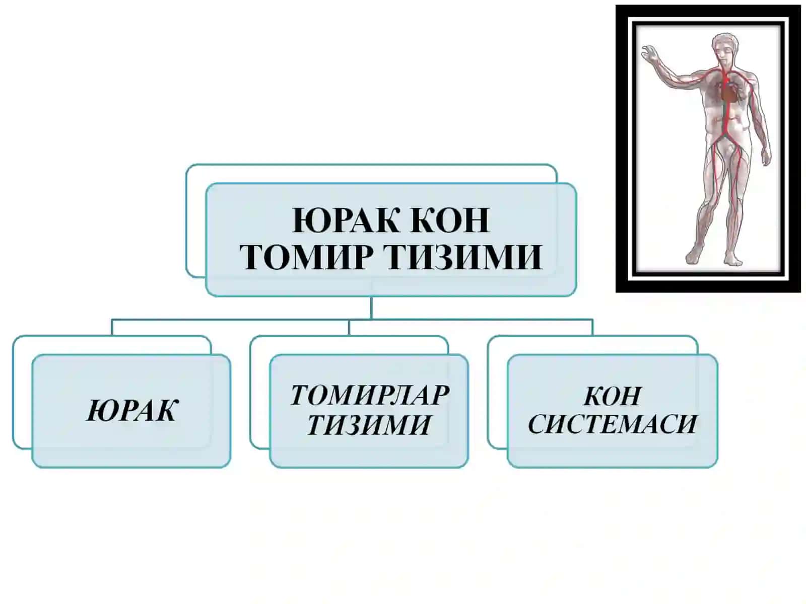 ЎТКИР ЮРАК 2