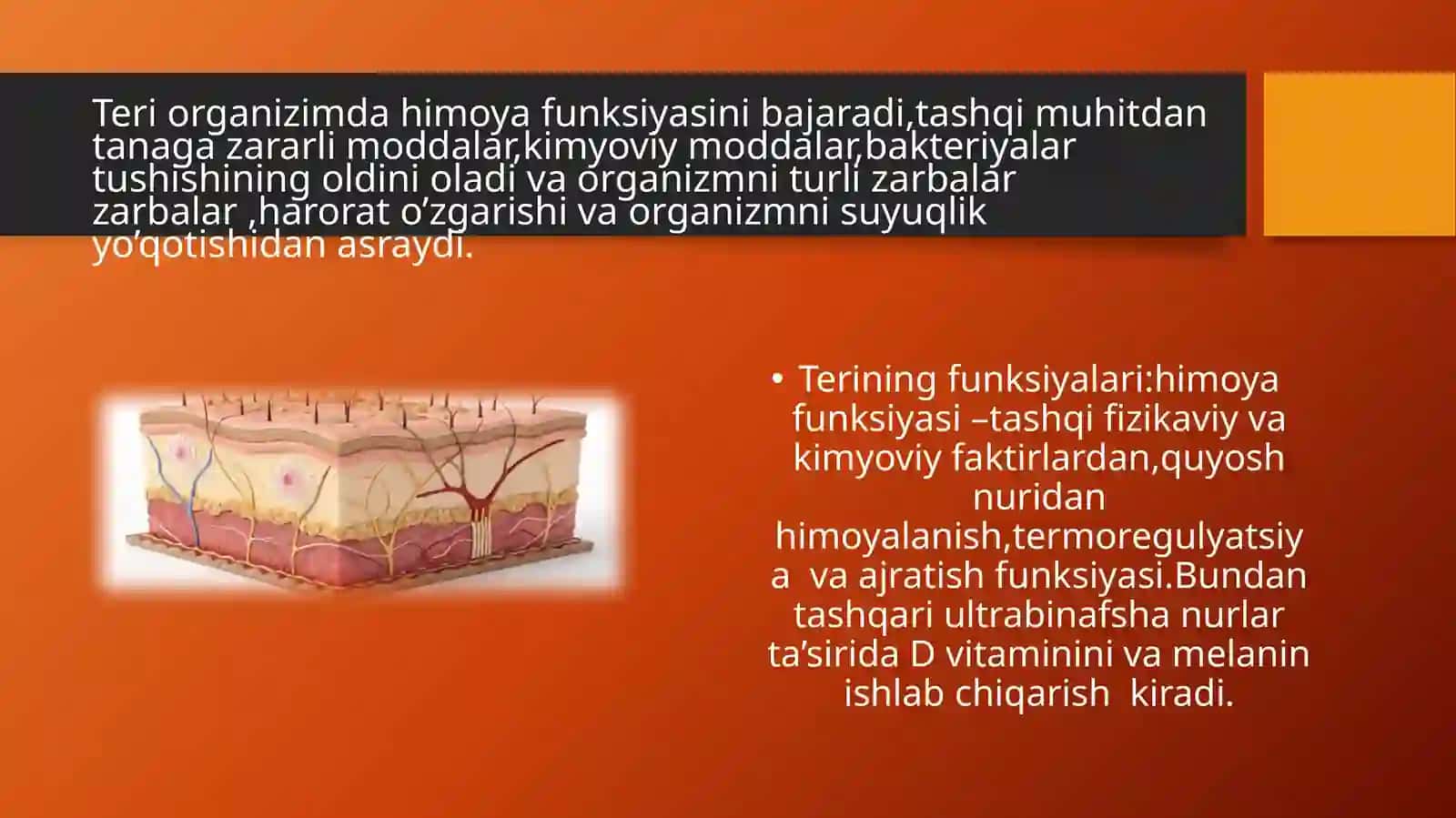 Teri va limfa tizimini baholash 2