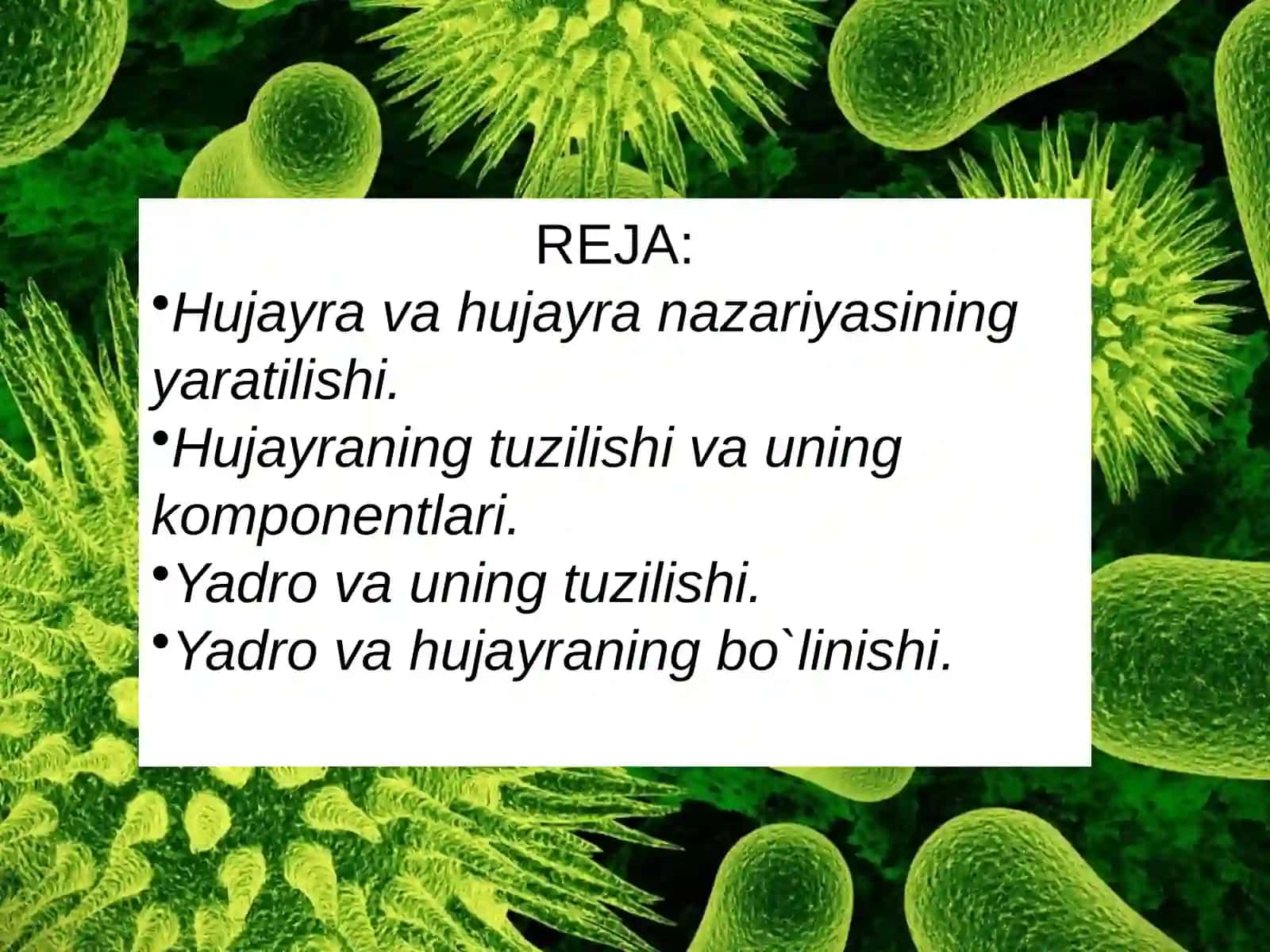 Hujayra 2