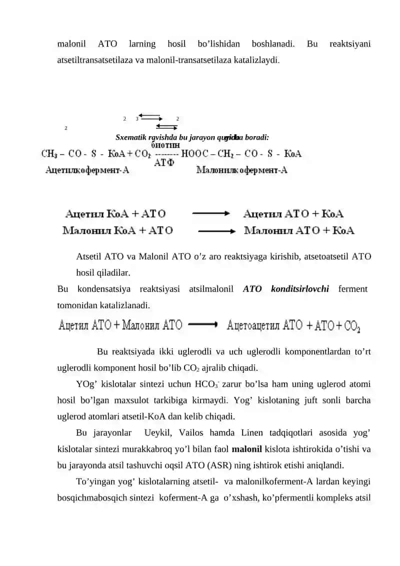 Yog’ kislotalarning biosintezi 2