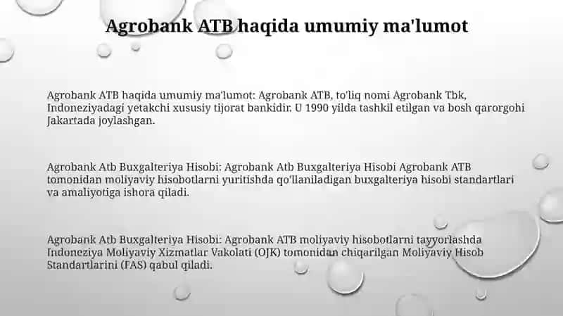 Agrobank Atb Buxgalteriya Hisobi 2