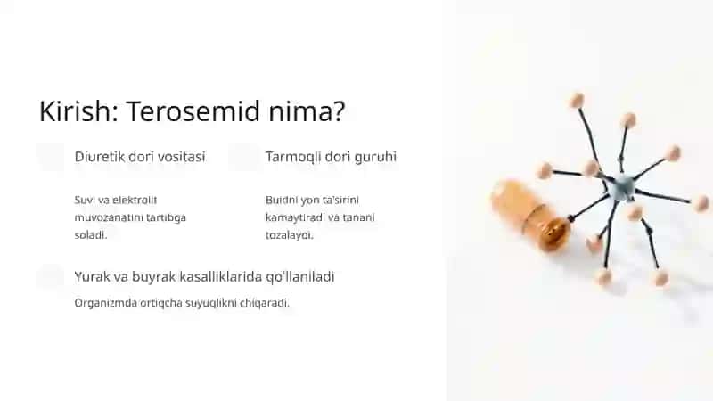 Terosemid Preparatlarining Farmakodinamikasi va Homilaga Ta'siri 2