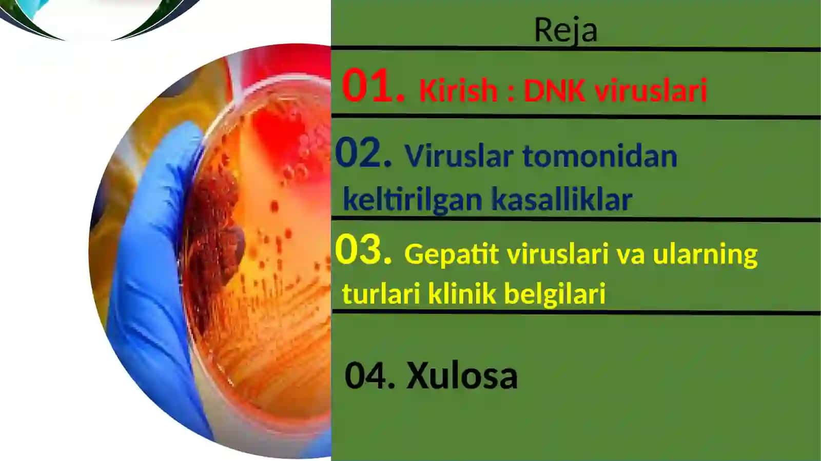 DNK saqlovchi viruslar keltirib chiqaruvchi yuqimli kasallik qo’zg’atuvchilari; gepatit viruslari B, C, D, E, G, TTV 2