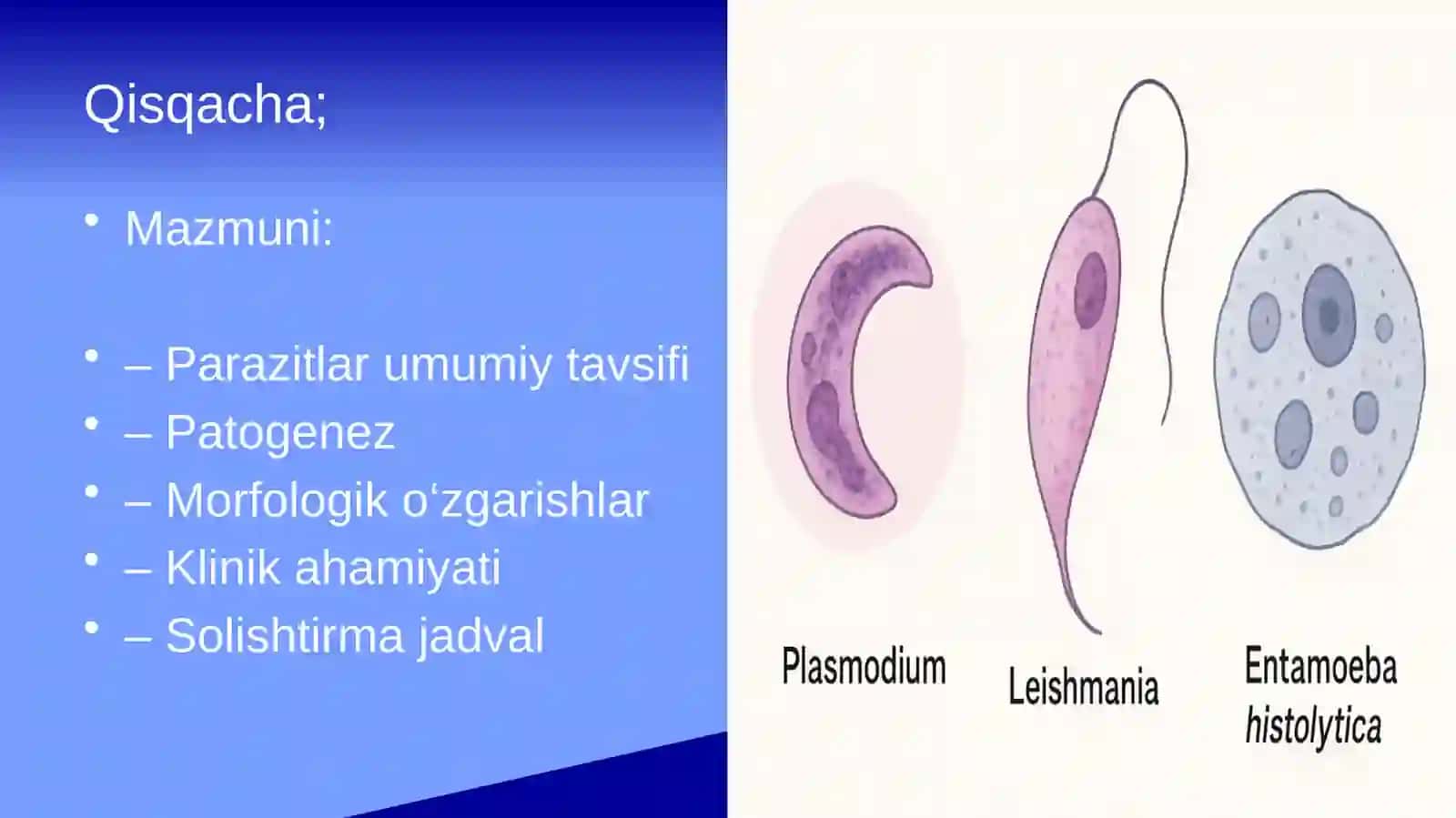 Parazitar infeksiyalar: malyariya, leyshmanioz, amebiaz 2