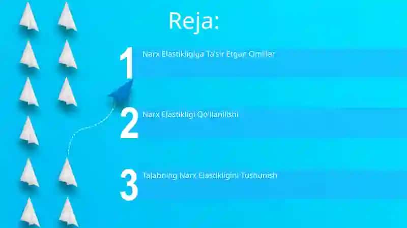 Narx Elastikligi 2