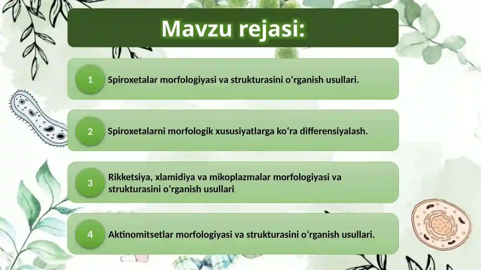 Spiroxitalar rekketsiyalar mikroplazmalar xlamidiyalar aktinomisyetlar va ularning morfologik strukturasi 2