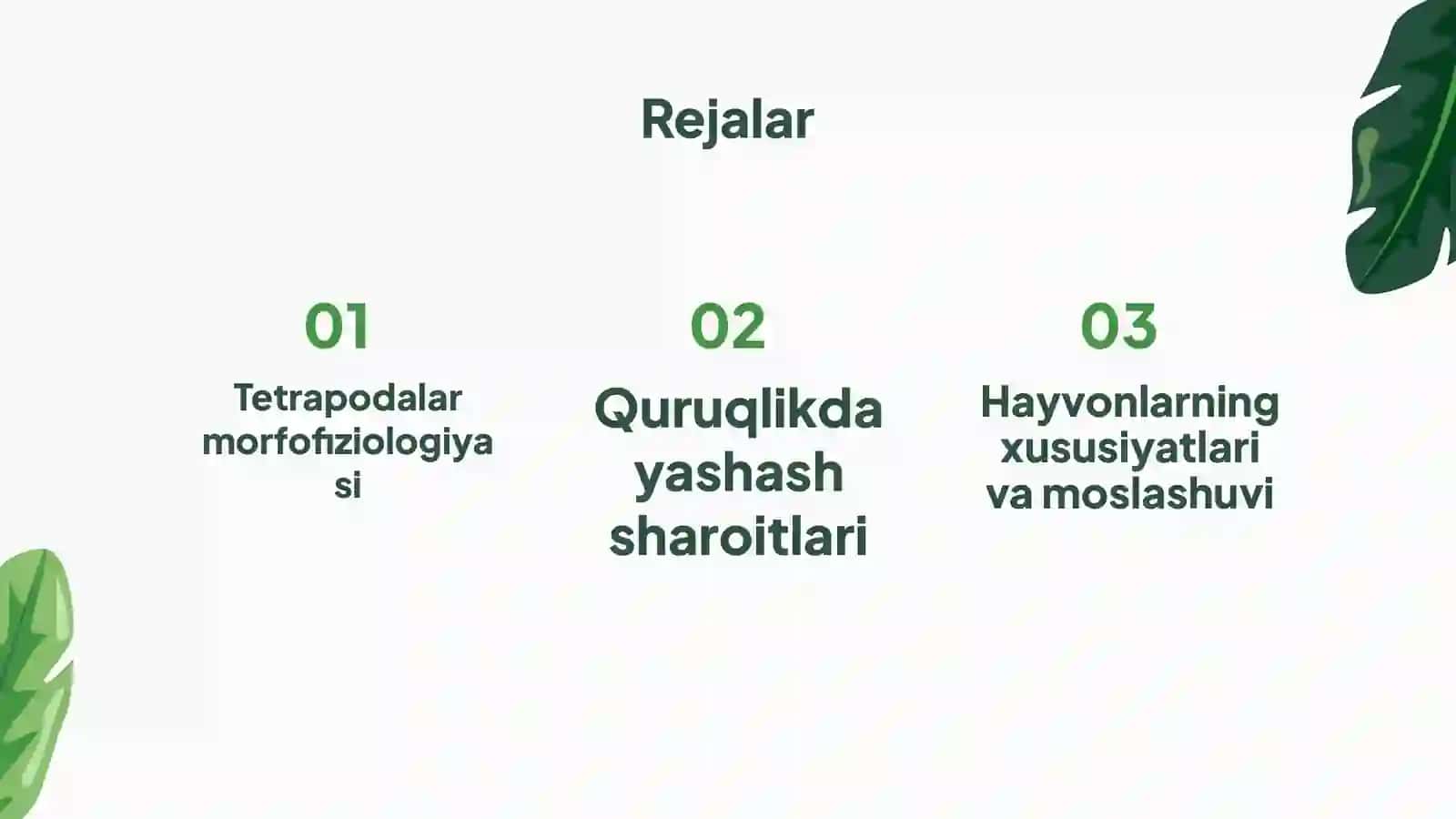 Tetrapoda Katta Sinfiga Mansub Hayvonlarning Quruqlikda Yashashini Taminlovchi Morfofiziologik Belgi va Xususiyatlar 2