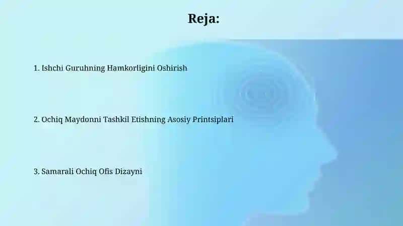 Ochiq fazoviy muhitni uyushtirish 2
