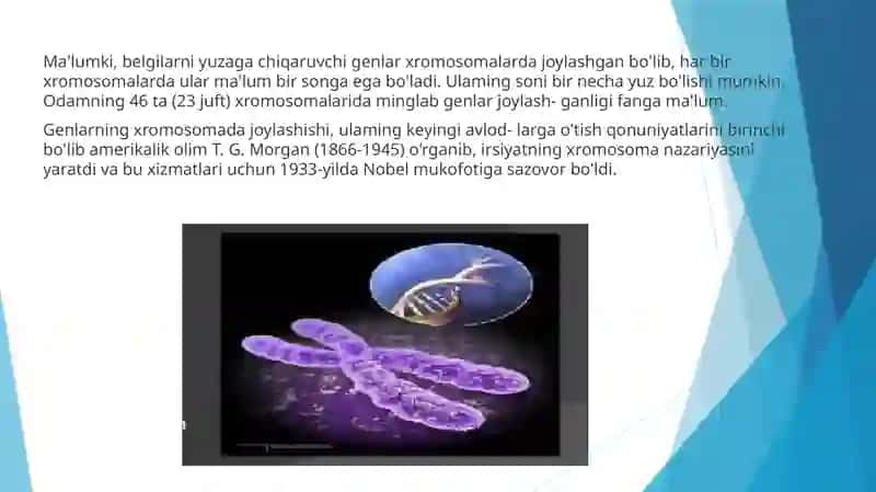 Irsiyatning xromosoma nazariyasi 2