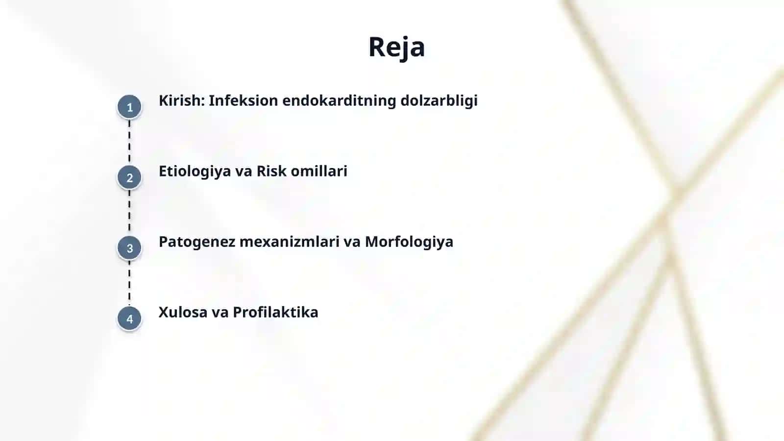 Infeksion ekdokardit 2