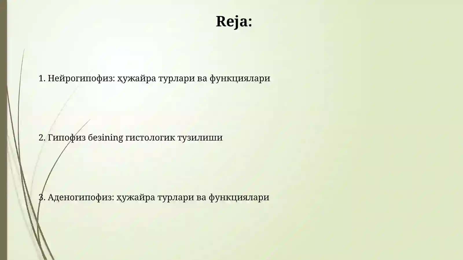 Markaziy va endokrin sistema Gipofiz bezi gistologik tuzilishi 2