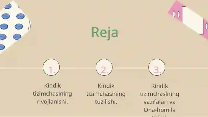 Kindik tizimchasining rivojlanishi, tuzilishi vavazifalari. Ona-homila tizimi. 2