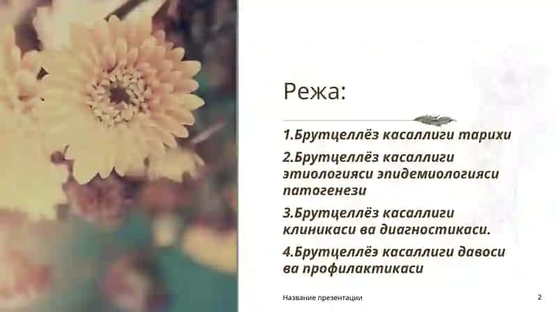 Брутцеллёзкасаллиги 2