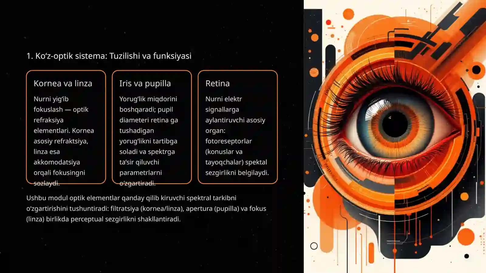Ko‘z-optik sistema: Ko‘zning spektral sezgirligi 2