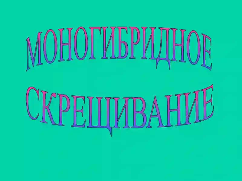 Моногибридное скрещивание 2