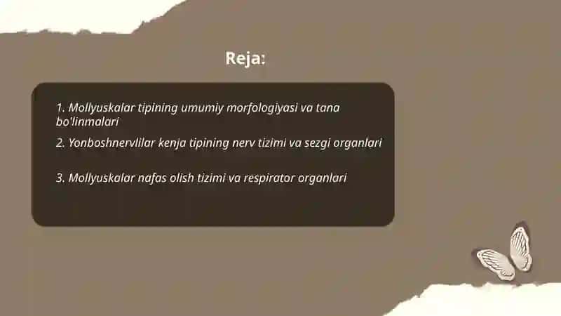 Mollyuskalar tipi Yonboshnervlilar kenja Tipiga Xarakteristika bering 2