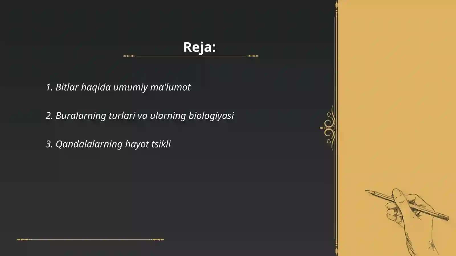 Bitlar haqida umumiy ma'lumot 2