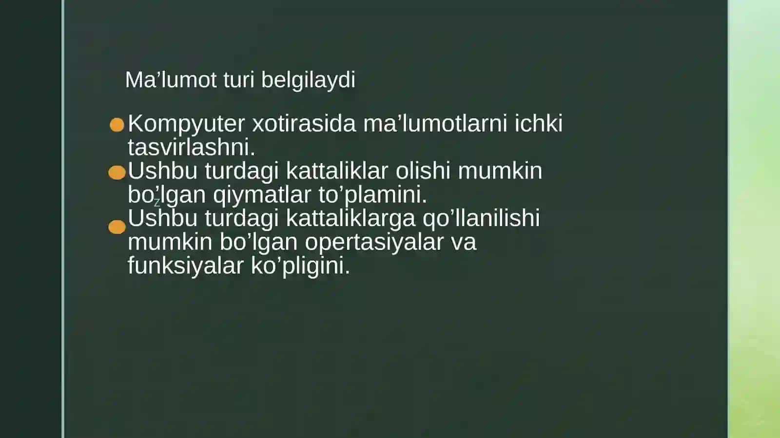 Ma’lumot turlarini taqdim etish 2