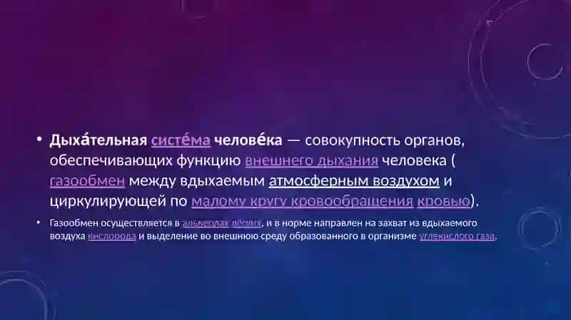 СИСТЕМА ОРГАНОВ ДЫХАНИЯ 2