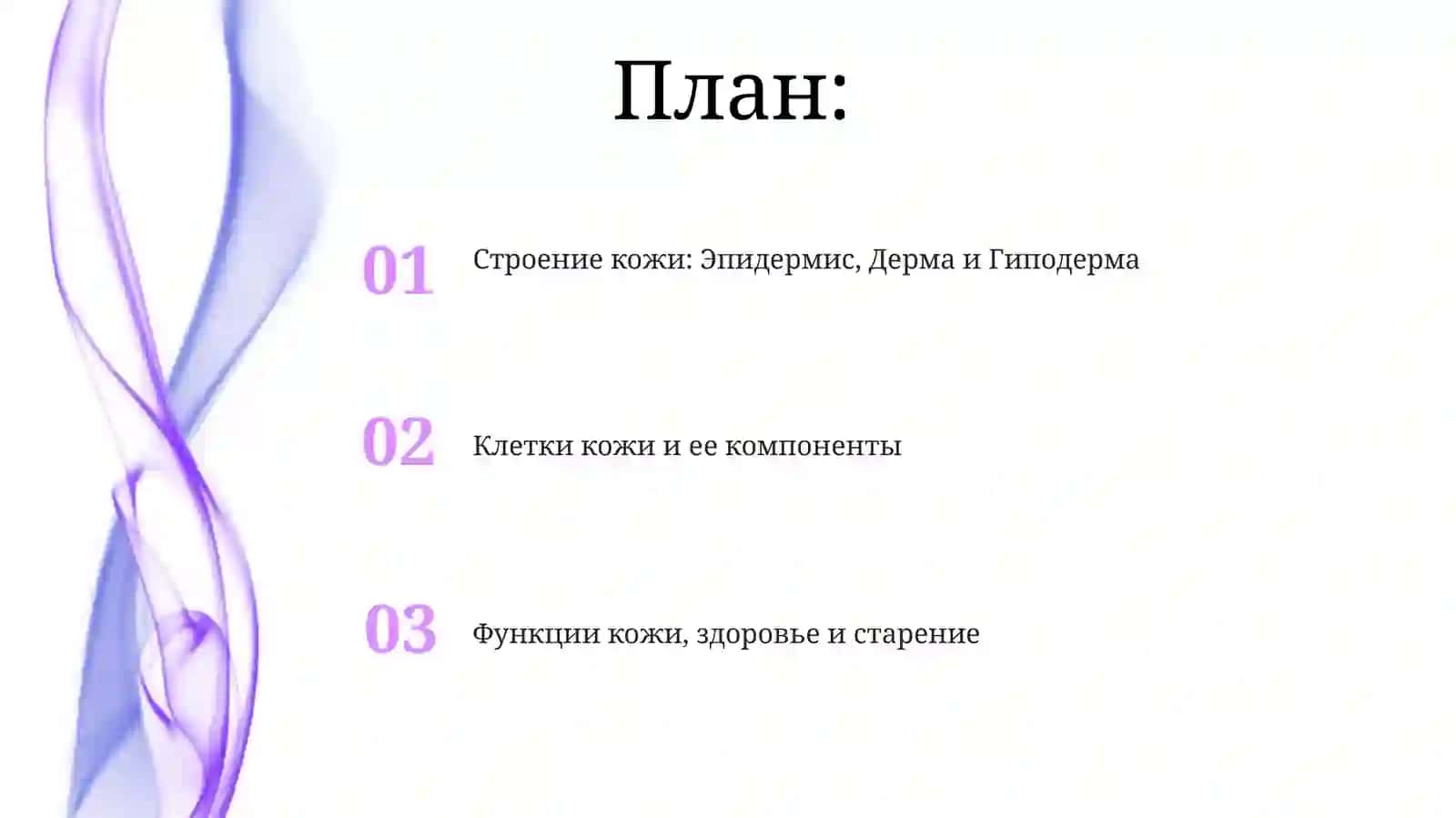 Строение и состав кожи 2